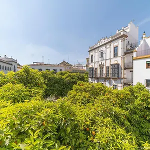 https://rey-don-pedro-luxury-home.es-andalucia.com